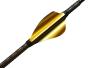 Plumes Xs Wings  50 mm High Profile Couleur : Or ( gold )